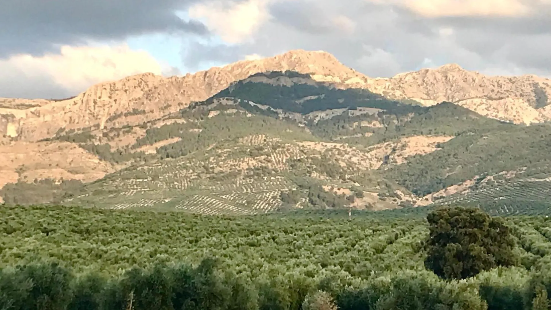 La Almedina: Palacio De Foronda Cazorla 0*,  Spain