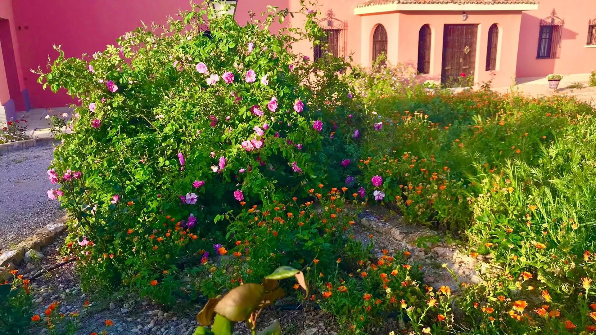 Apartamento La Almedina: Palacio De Foronda Cazorla Espanha